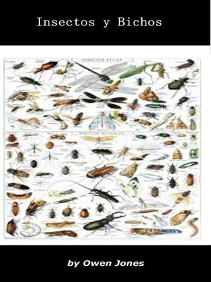 cover image of Insectos y bichos
